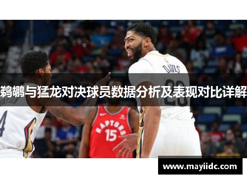 鹈鹕与猛龙对决球员数据分析及表现对比详解